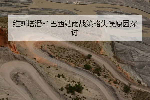 维斯塔潘F1巴西站雨战策略失误原因探讨